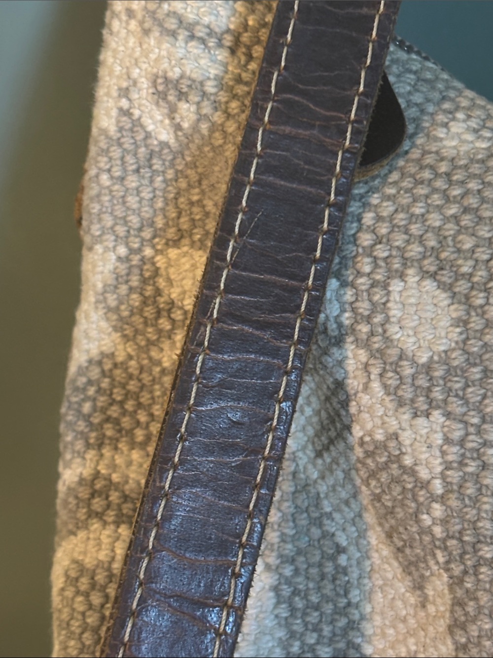 Myra Bag Archaic Canvas & Leather Crossbody - Picture 12 of 13